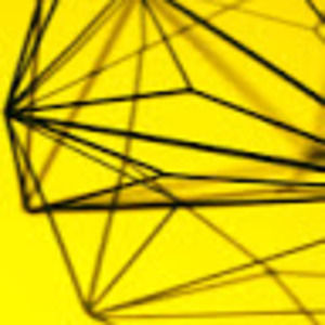 Meet your Posher, Tran